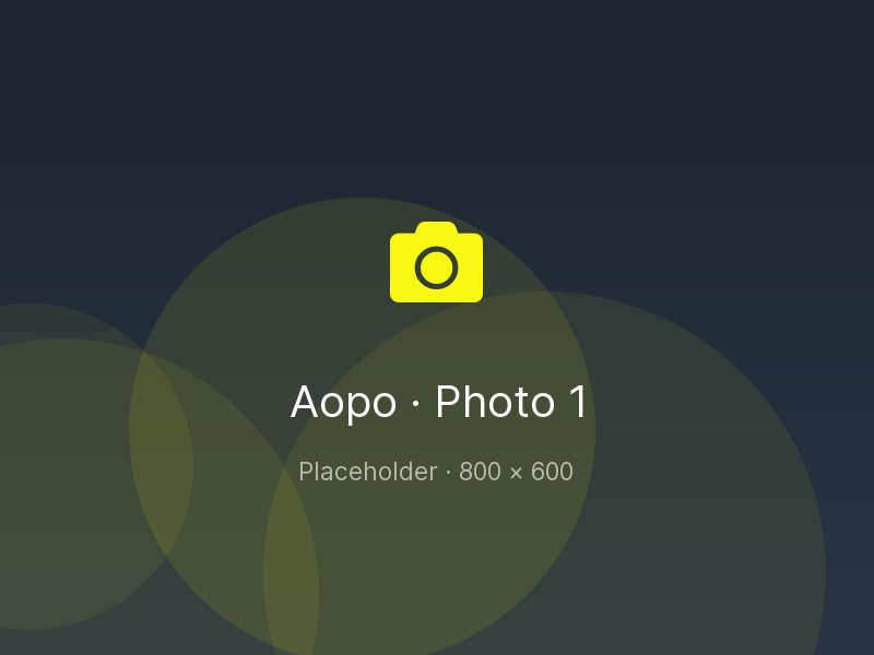 Placeholder: Aopo workshop photo 1
