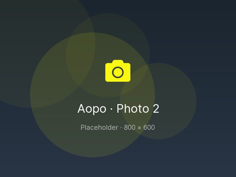 Placeholder: Aopo workshop photo 2