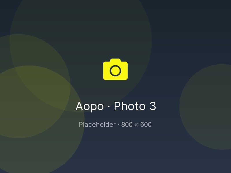 Placeholder: Aopo workshop photo 3
