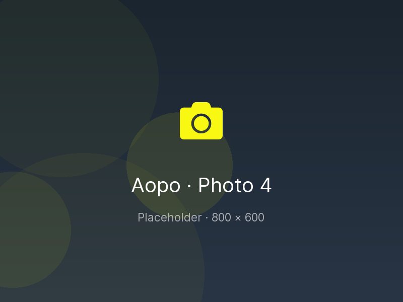 Placeholder: Aopo workshop photo 4