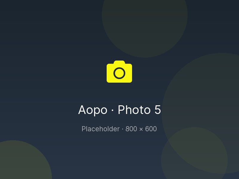 Placeholder: Aopo workshop photo 5