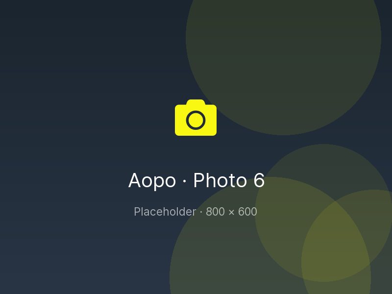 Placeholder: Aopo workshop photo 6
